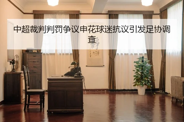 中超裁判判罚争议申花球迷抗议引发足协调查